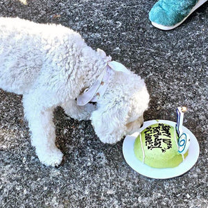 Tennis Ball Cake