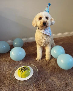 Tennis Ball Cake