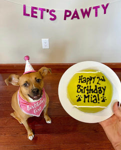 Tennis Ball Cake