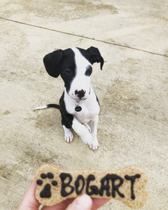 Mini Bone Cookie