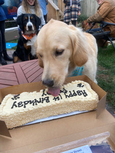 Large Peanut Butter Bone Cake