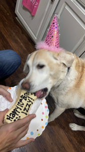 Small Peanut Butter Bone Cake