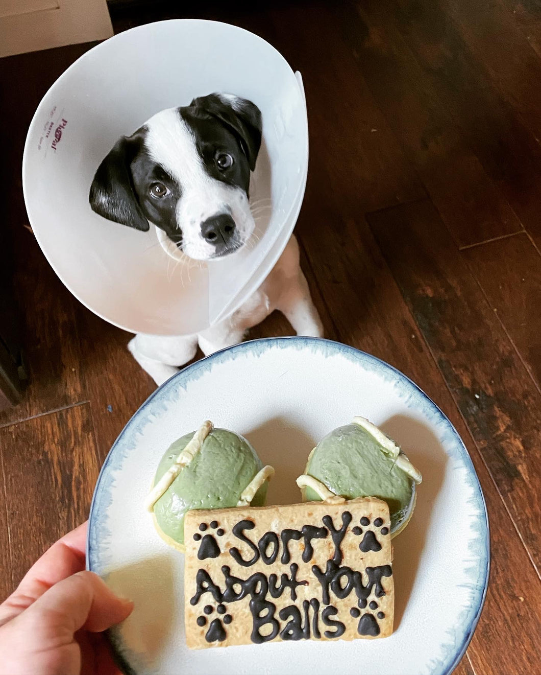 Neuter Cupcakes & Cookie Plaque