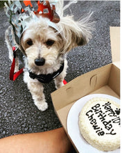 Load image into Gallery viewer, 5&quot; Peanut Butter Cake
